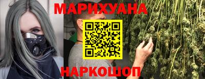 гашик Бийск