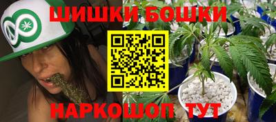 гашик Бийск