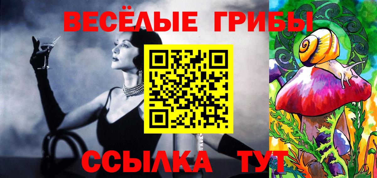 Галлюциногенные грибы GOLDEN TEACHER  Псилоцибиновые грибы мухоморы  Волгоград  Вход с VPN 